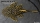 L 18 Golden Nugget