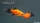 Pinsel Platy